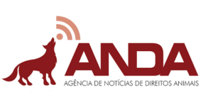 LOGO-ANDA-OFICIAL